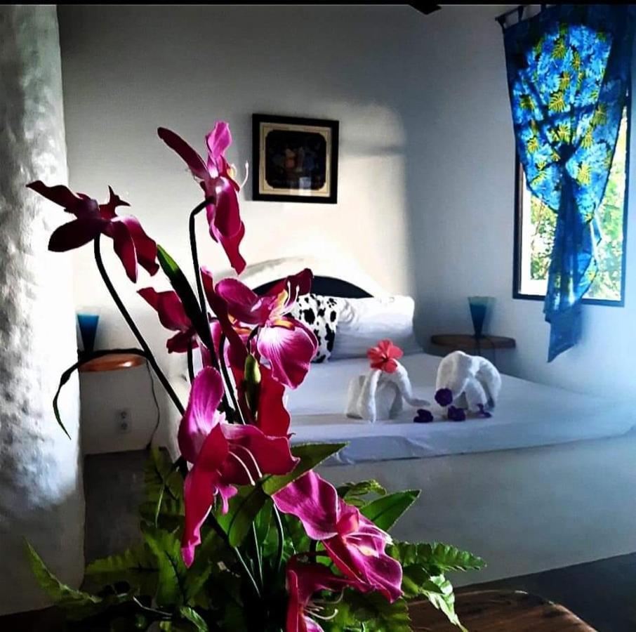 Kim'S Garden Villa อันดา ภายนอก รูปภาพ