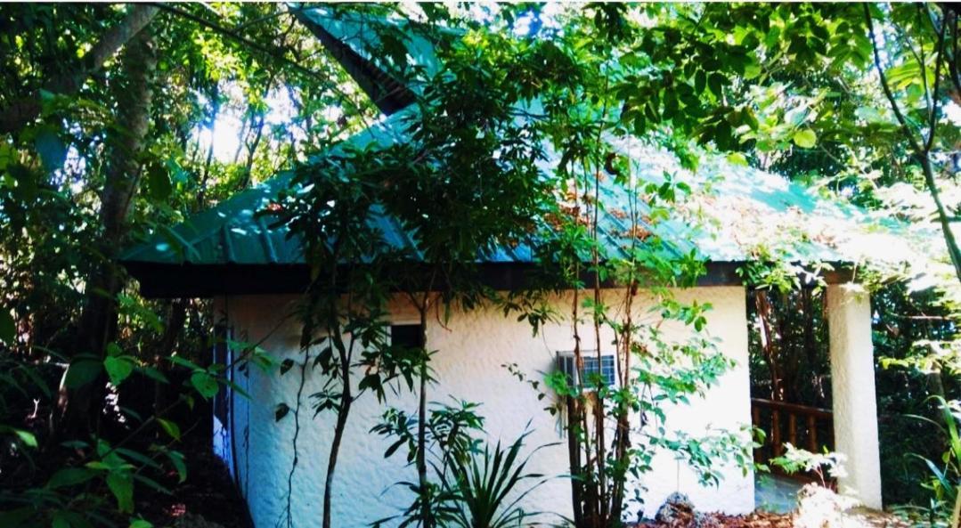 Kim'S Garden Villa อันดา ภายนอก รูปภาพ