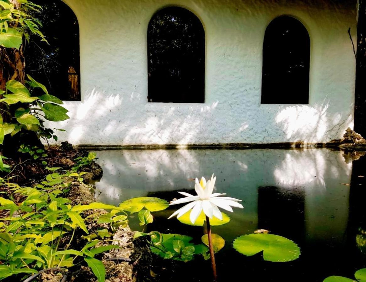 Kim'S Garden Villa อันดา ภายนอก รูปภาพ