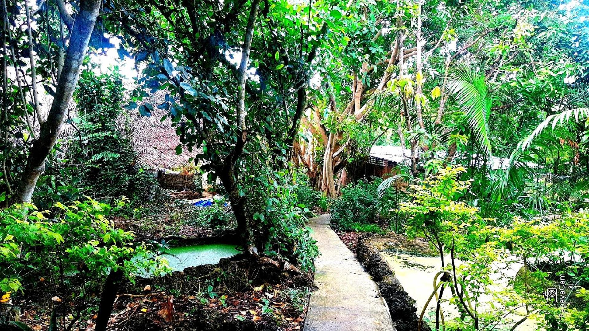 Kim'S Garden Villa อันดา ภายนอก รูปภาพ