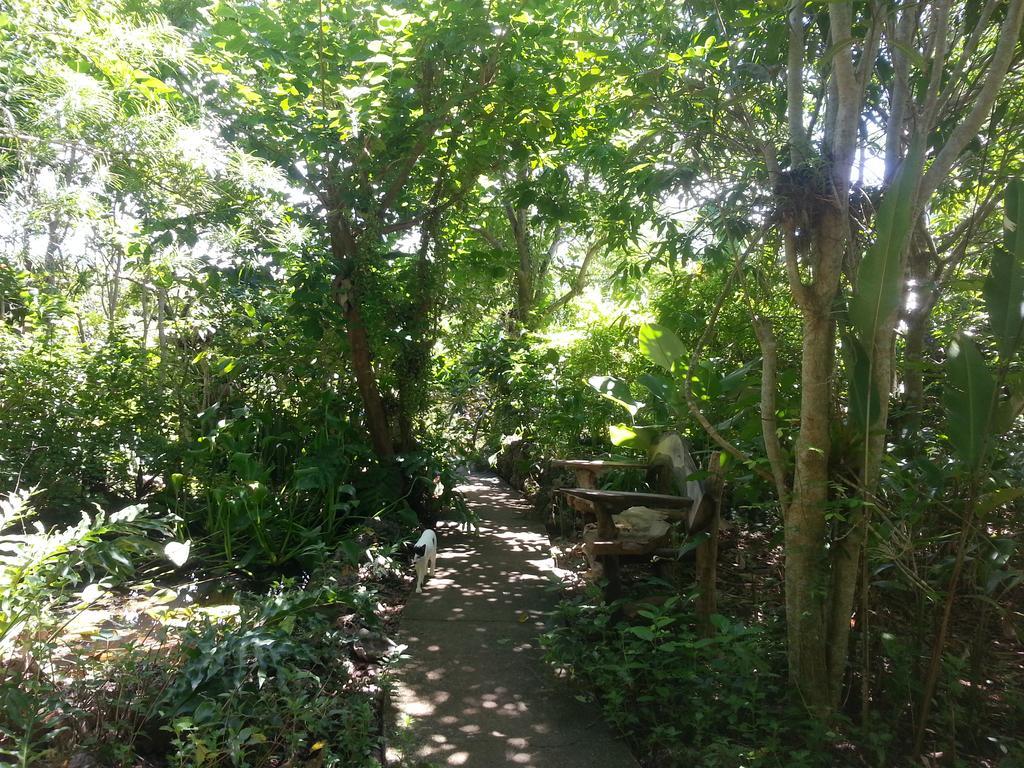 Kim'S Garden Villa อันดา ภายนอก รูปภาพ